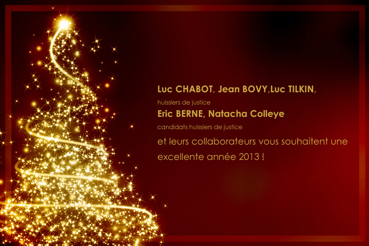 Bonnes ftes 2013 !